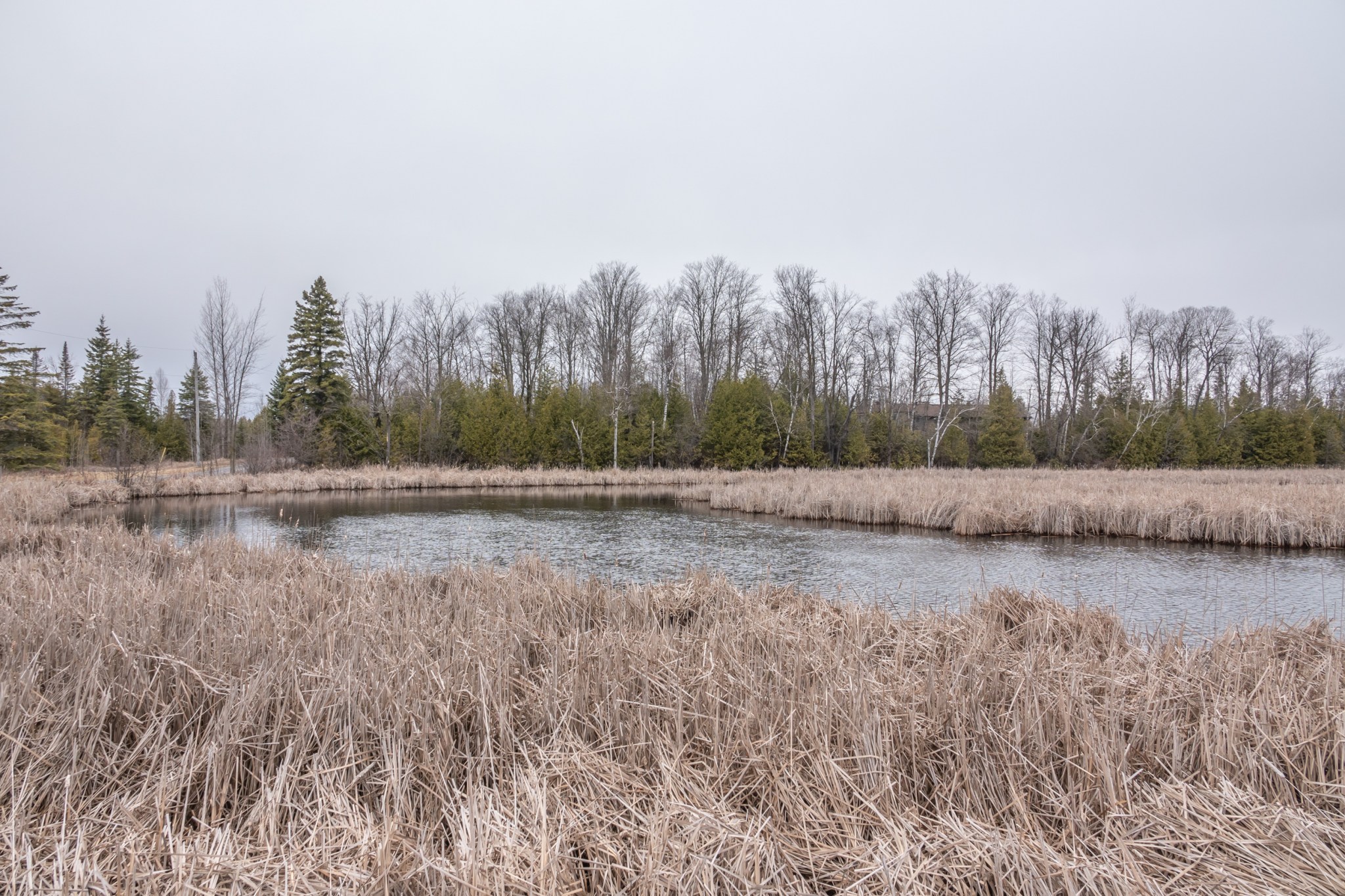 Zephyr, Ontario April 5, 2020 Miles Hearn