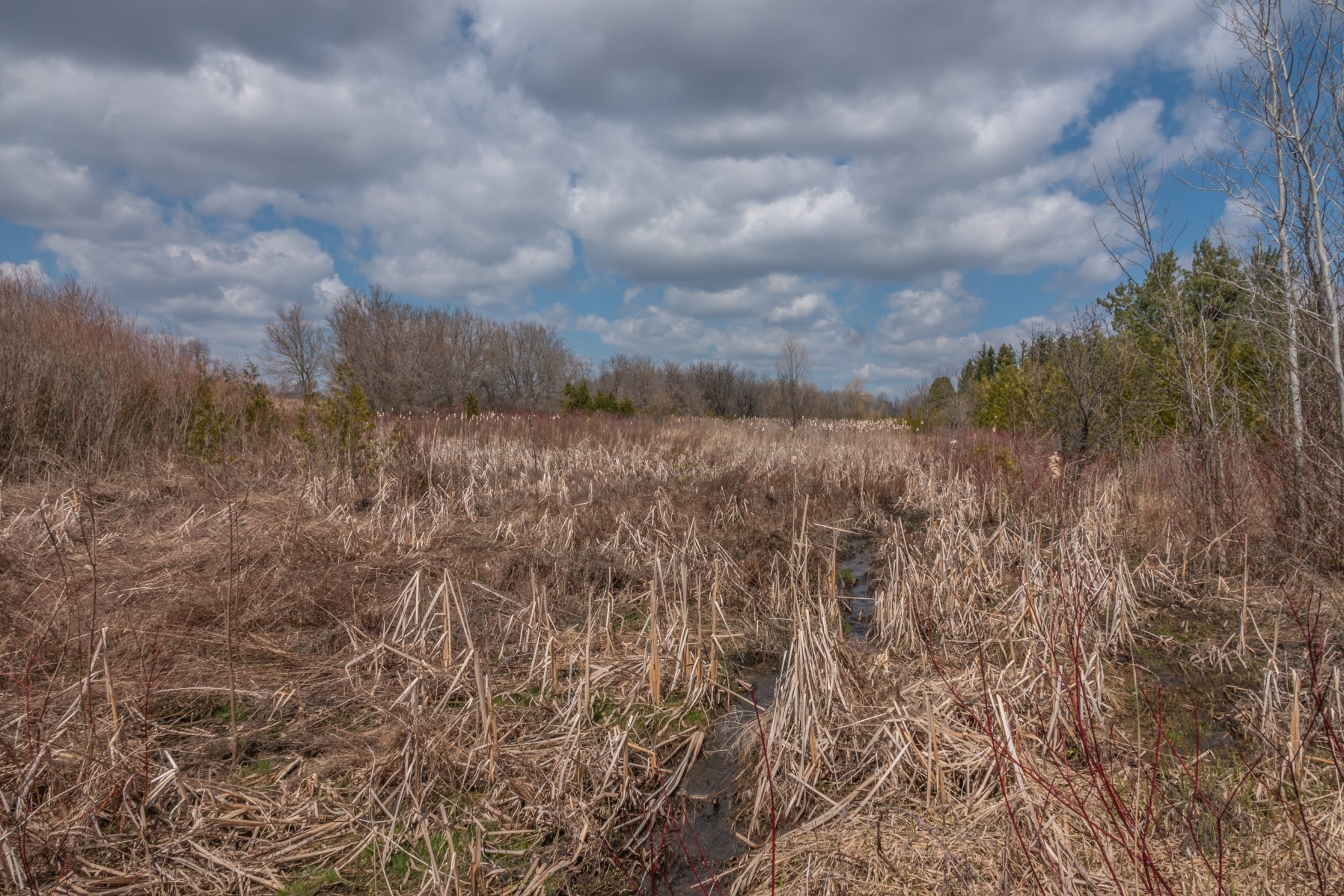 the Hamlet of Altona, Ontario April 2020 Miles Hearn