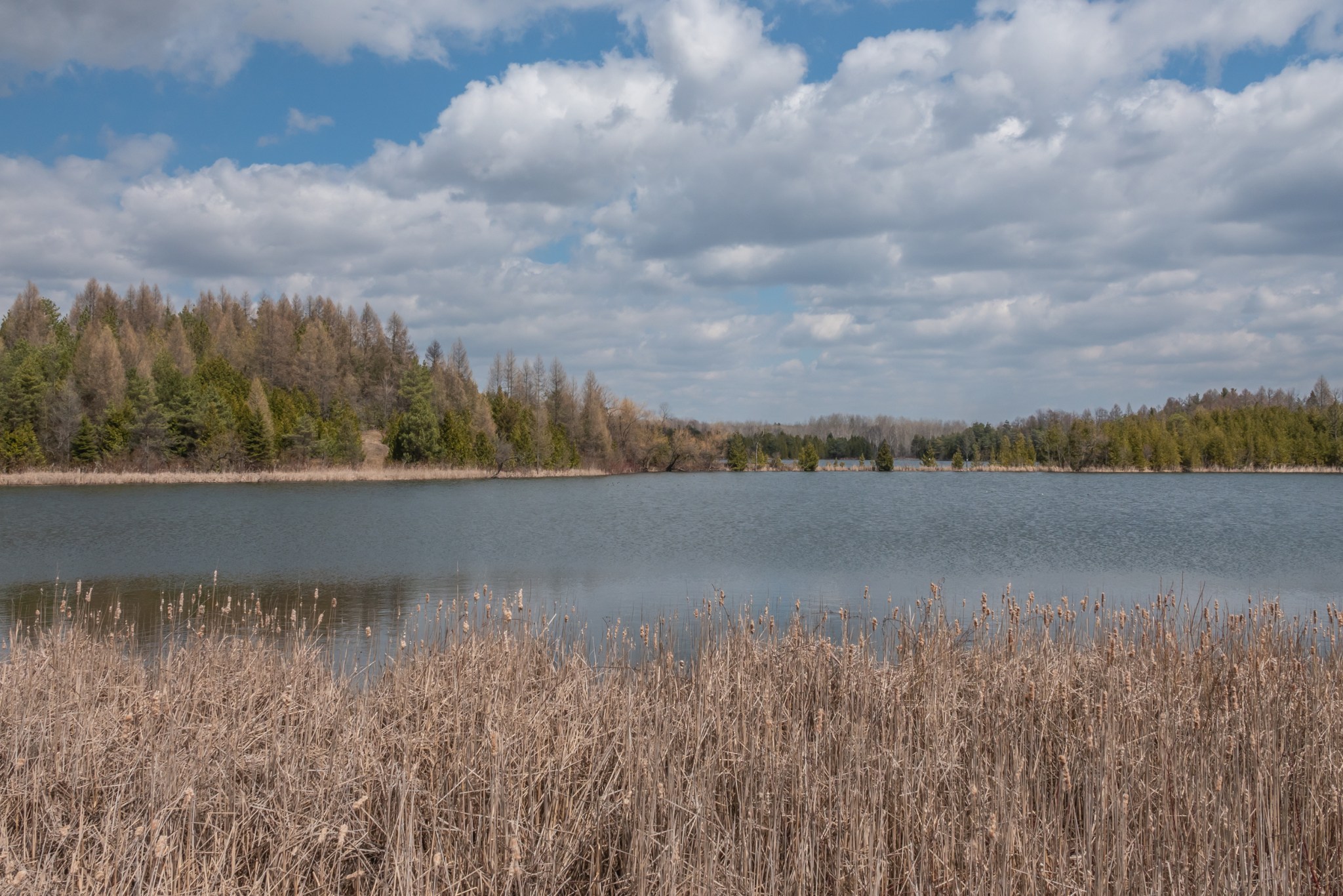 the Hamlet of Altona, Ontario April 2020 Miles Hearn