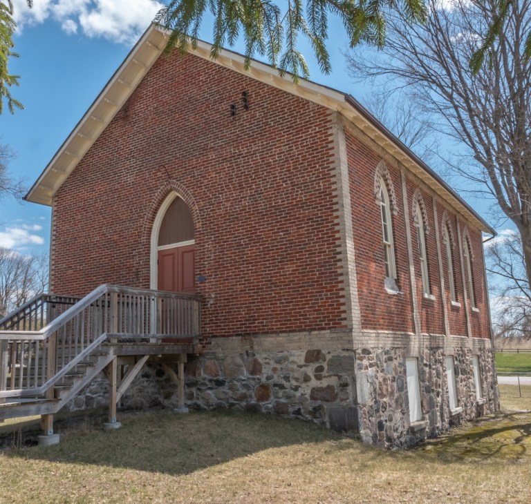 Brown Thrasher near Little Britain, Ontario: Spring, 2020 | Miles Hearn