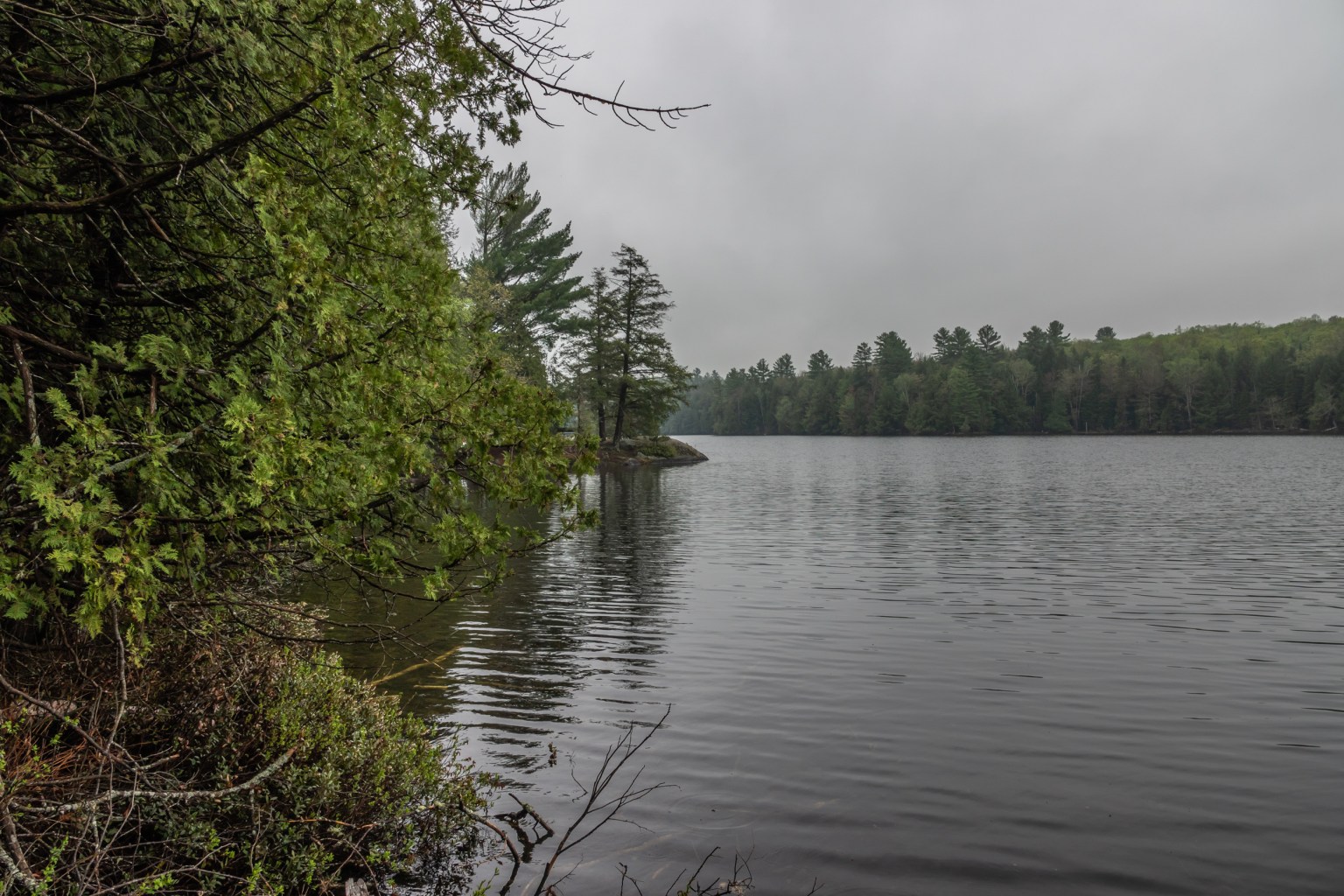 Apsley, Ontario and Silent Lake Park May 2020 Miles Hearn
