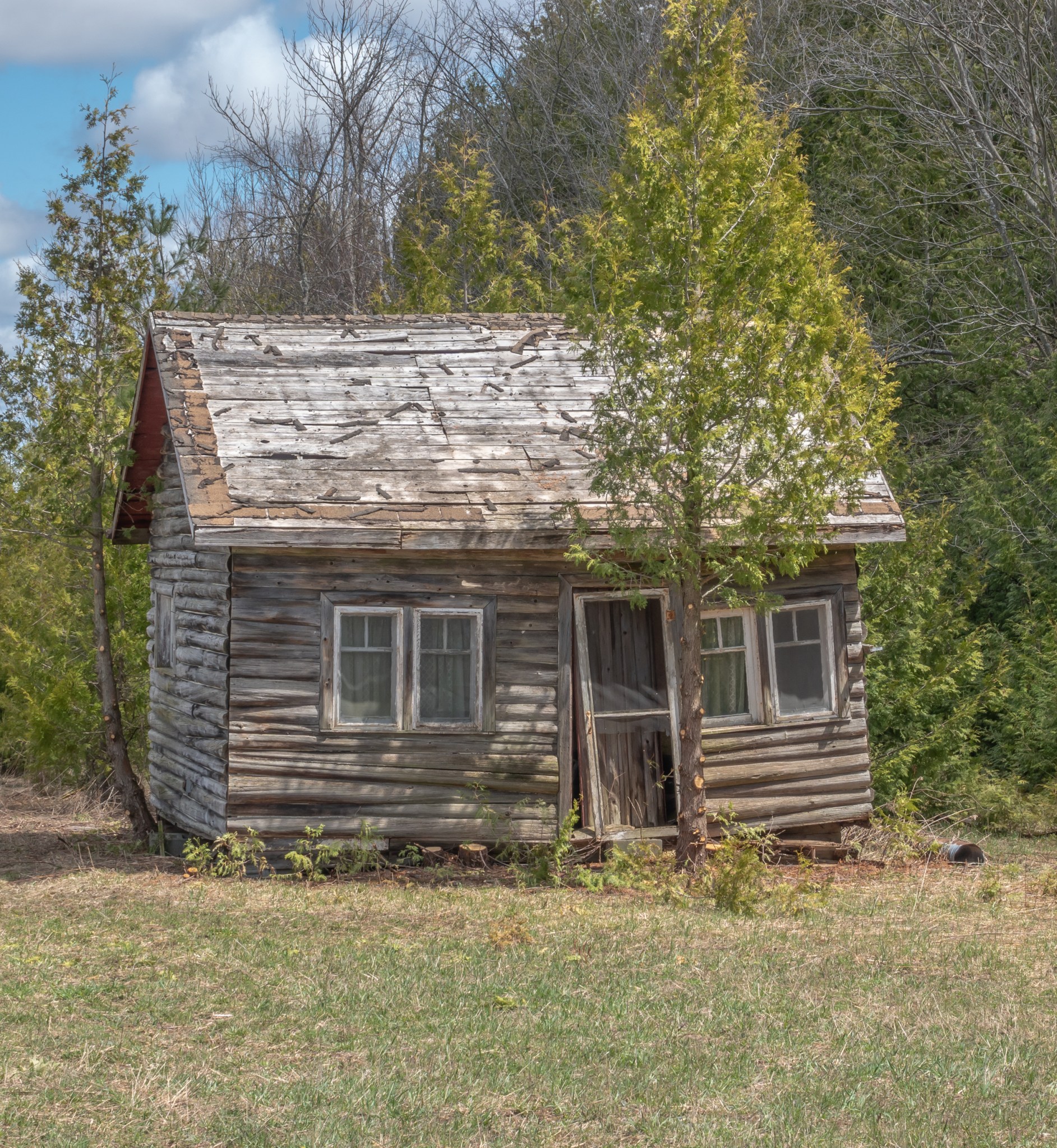 3 Tough Birds to Photograph near Dunsford, Ontario Early May, 2020