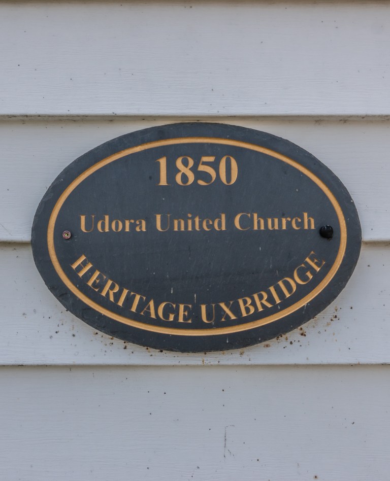 Udora, Ontario and a Red Maple Swamp Early May 2020 Miles Hearn