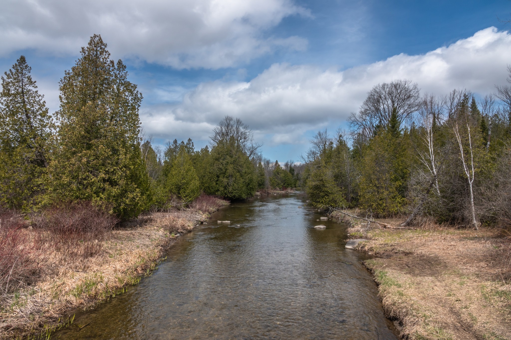 Udora, Ontario and a Red Maple Swamp Early May 2020 Miles Hearn