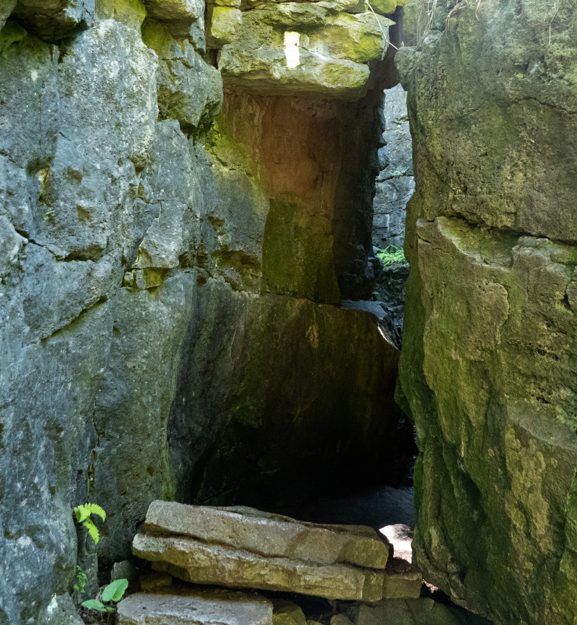 Limehouse Conservation Area July 2020 Miles Hearn