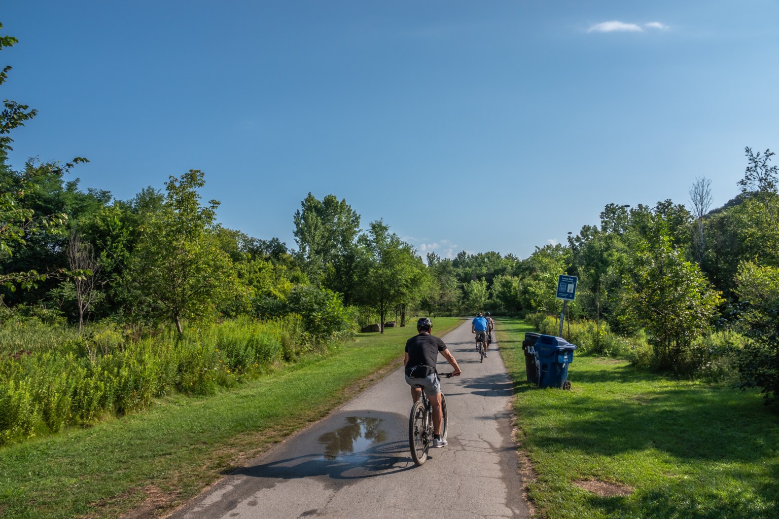 A Walk at Cottonwood Flats August 2020 Miles Hearn