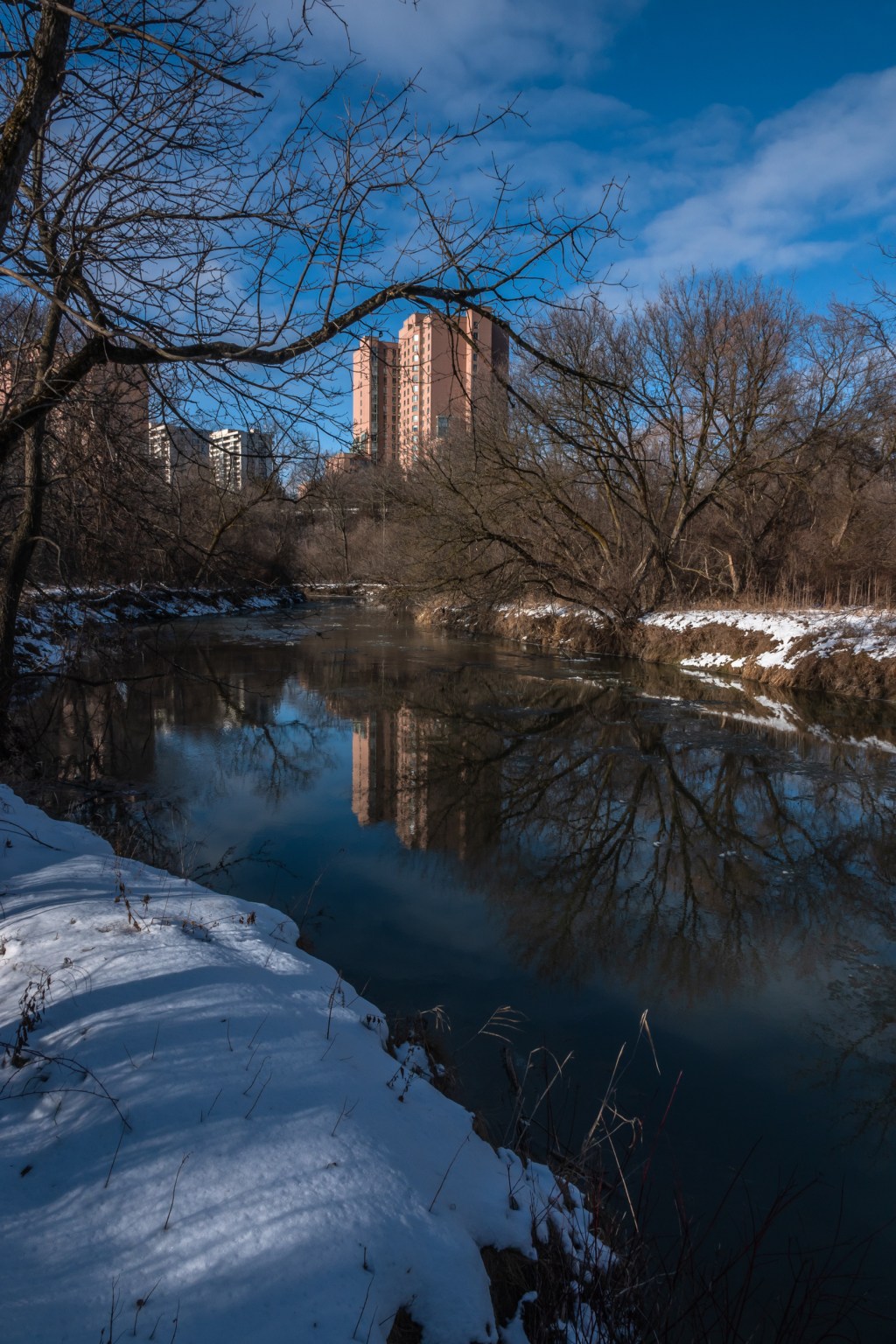 Rowntree Mills Park – “Toronto’s Saddest Park”: Dec. 2020 | Miles Hearn